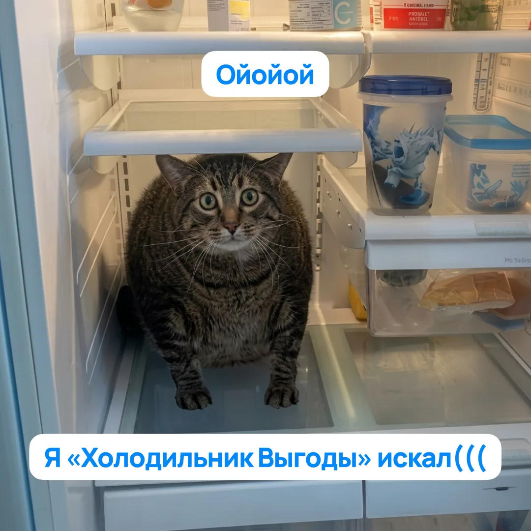 Как он там оказался? Ну артист!!

«Холодильник Выгоды» ведь нужно искать не в квартире, а на главной