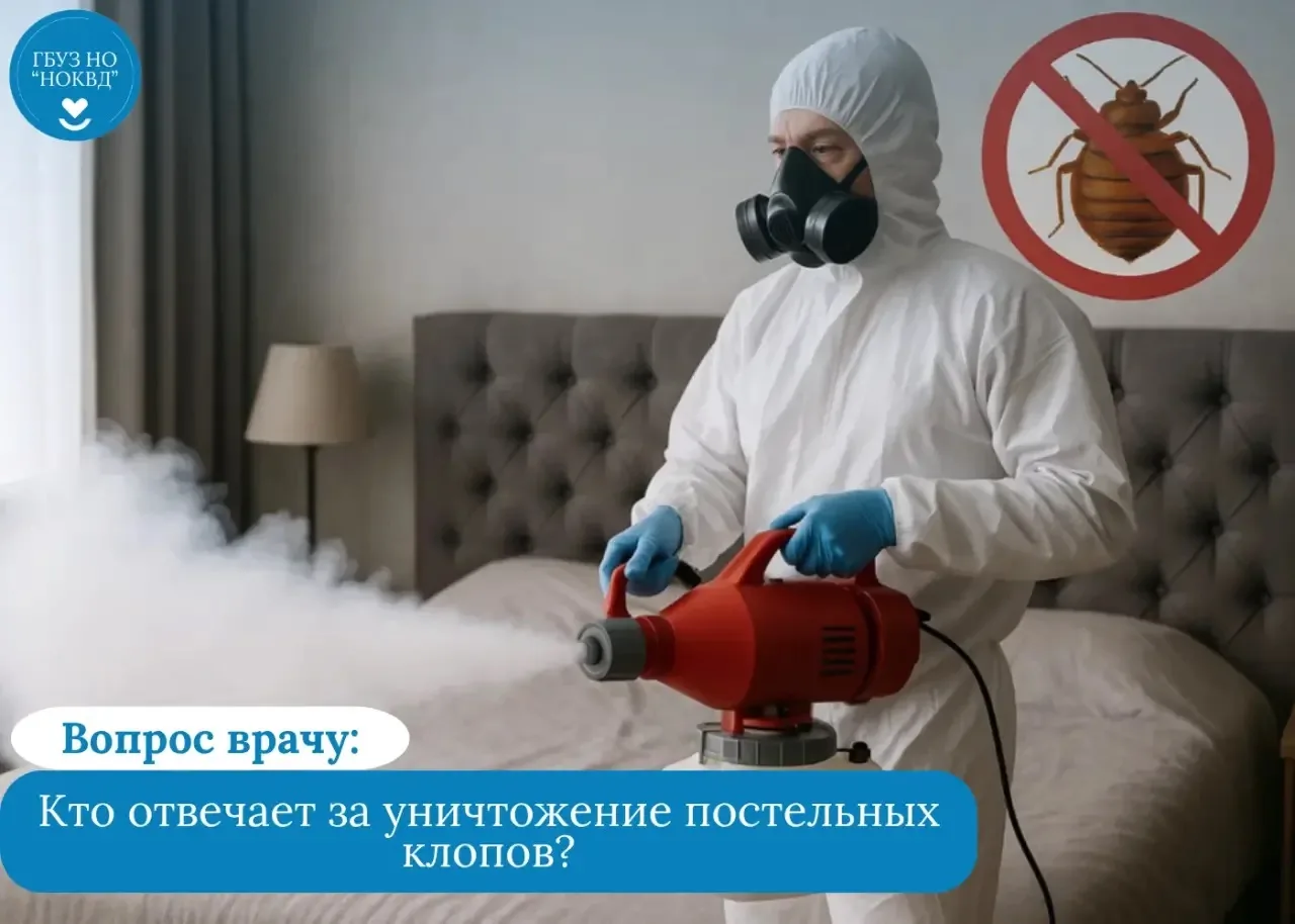 📖В прошлом месяце у нас вышел пост о постельных клопах vk.ru/wall-206123800_2336 и вы, наши подписч