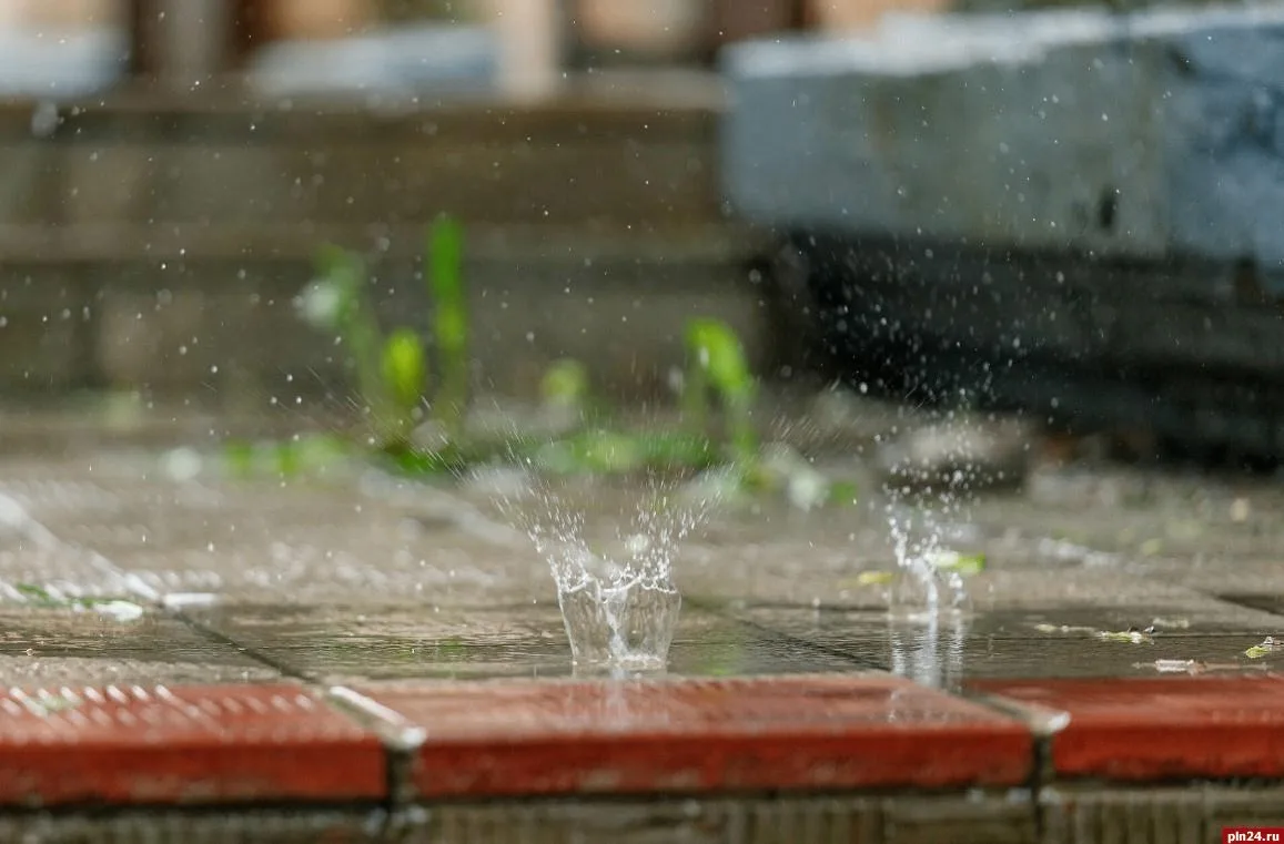 ⛈ До +22 градусов, дожди и грозы: прогноз погоды в Псковской области на сегодня

Сегодня в регионе о