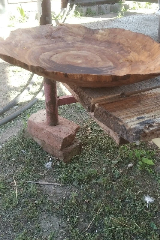 Каштан