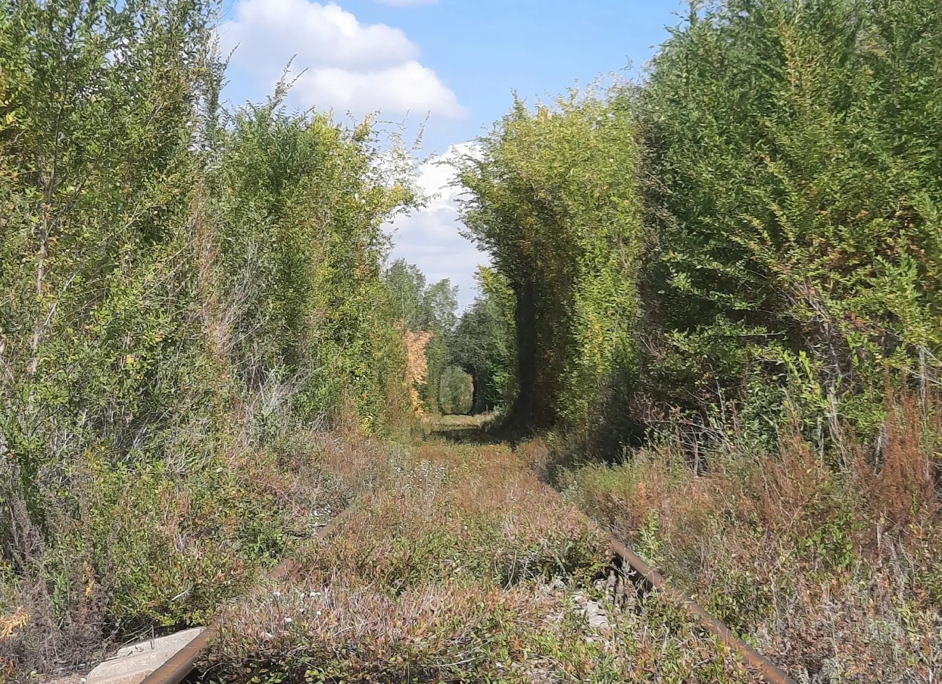 Спокойной ночи, Магнитогорск! 

Загружайте свои фото города в альбом https://vk.com/album-37163947_1