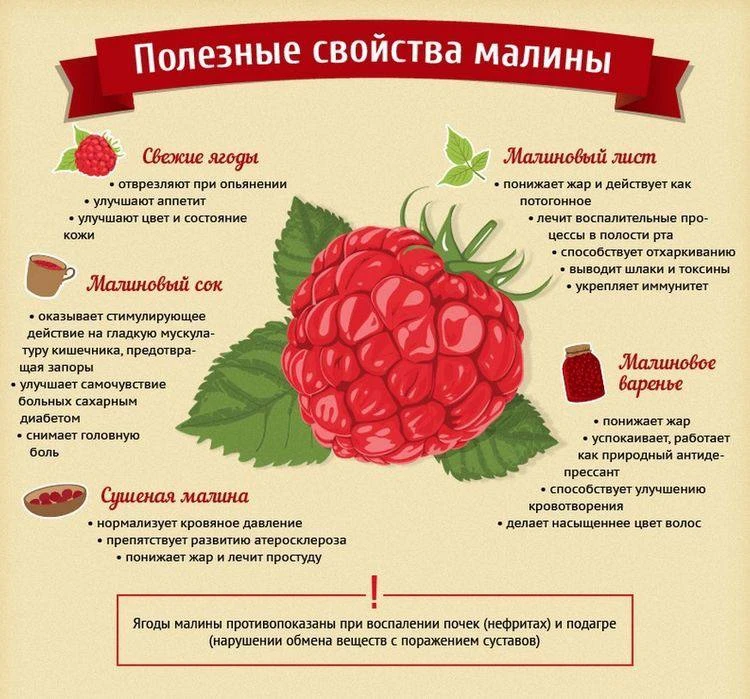 Будем здоровы! |👉 Подписаться