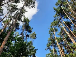 «И жму педаль в пол»: в Самарской области на дорогу вышел здоровенный лось

Неожиданная встреча ожид