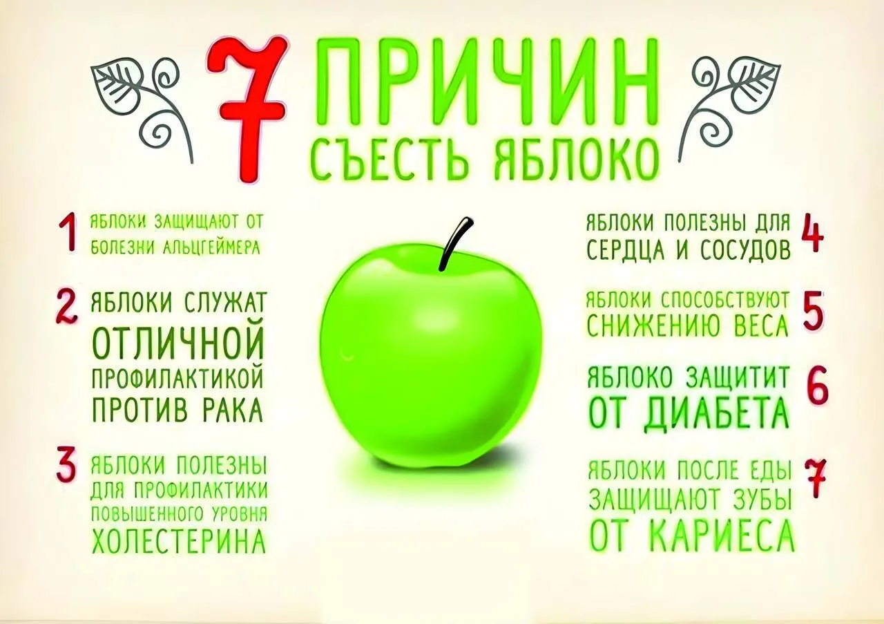 7 причин съесть яблоко 🍏 

С любителя яблок — ❤️!