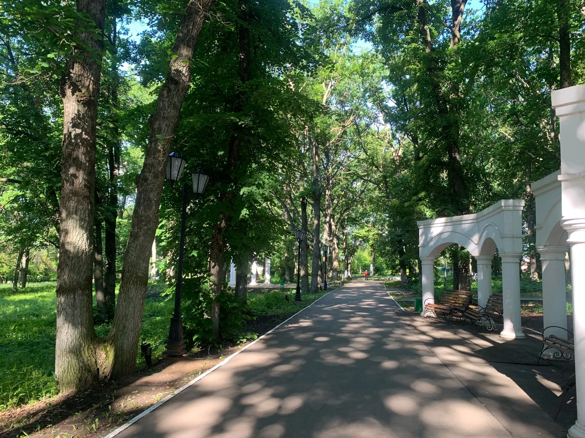 Доброе июньское утро!🌿                                                                             