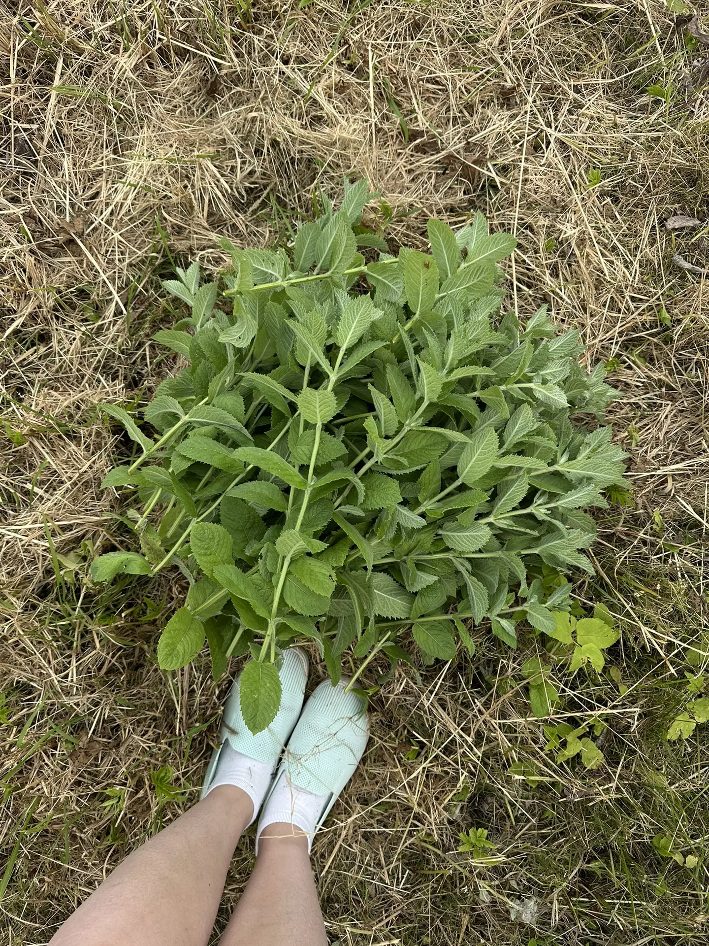 Недавно мы приехали на дачу, где я маленькой проводила каждое лето.

И решили дойти до той самой реч