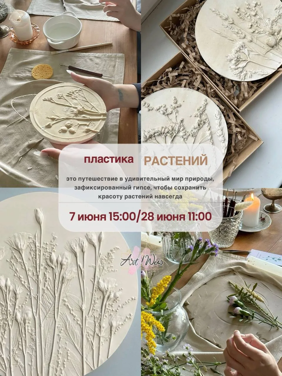 Приглашаем вас на уютный мастер-класс «Пластика растений» по ботаническому барельефу🌿

Ближайшие да
