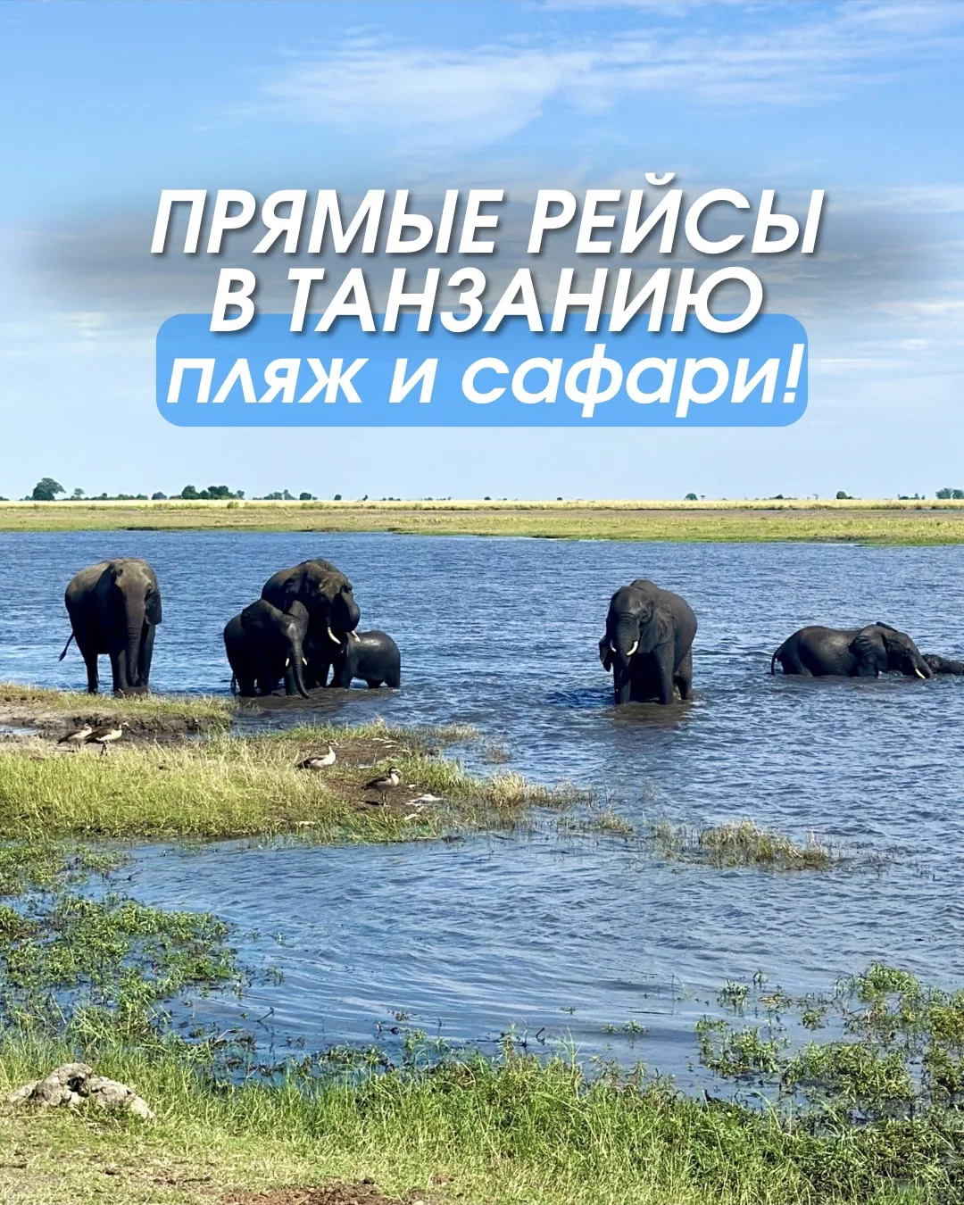 🌴 САФАРИ, ЗАНЗИБАР И КИЛИМАНДЖАРО - ТЕПЕРЬ БЛИЖЕ, ЧЕМ ВЫ ДУМАЕТЕ!

Со 2 июля стартуют прямые рейсы 
