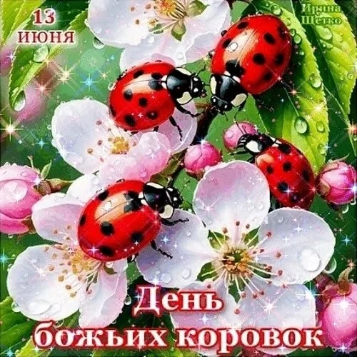 🎉 #праздник

Красивые открытки 💌
⠀в Max | в Теlegram