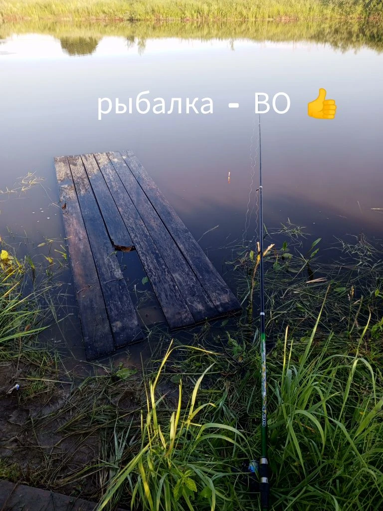 Рыбалка выдалась чудесная! 🎣  
На видео разные рыбы, а самая крупная, как в анекдоте, — та, которая