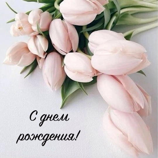 Коллектив ГВУ Краснооктябрьского МО поздравляет заведующую Александровским ветпунктом ВАНЬШИНУ ТАТЬЯ