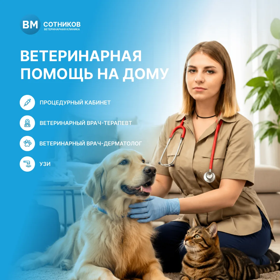 Ветеринарная помощь на дому

Если ваш питомец испытывает очень сильный стресс при посещении клиники,
