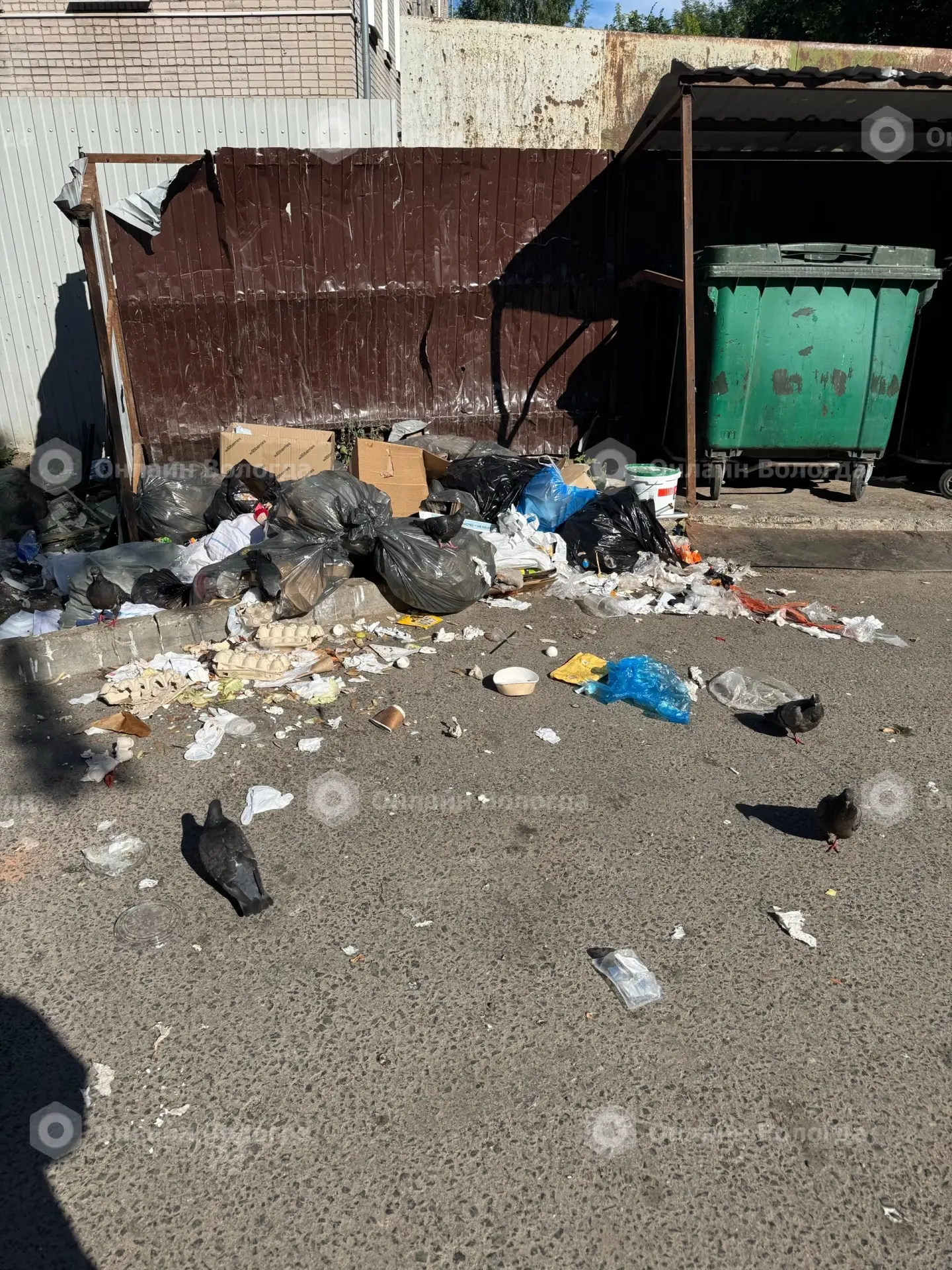 Долго этот бардак в центре города будет продолжаться?! Пл. Бабушкина, 6Б, УК Сантехмонтаж!