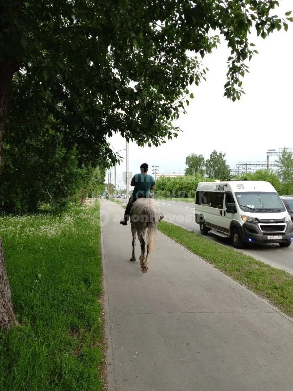 На Первомайке заметили еще одного любителя экономичного транспорта 🐴