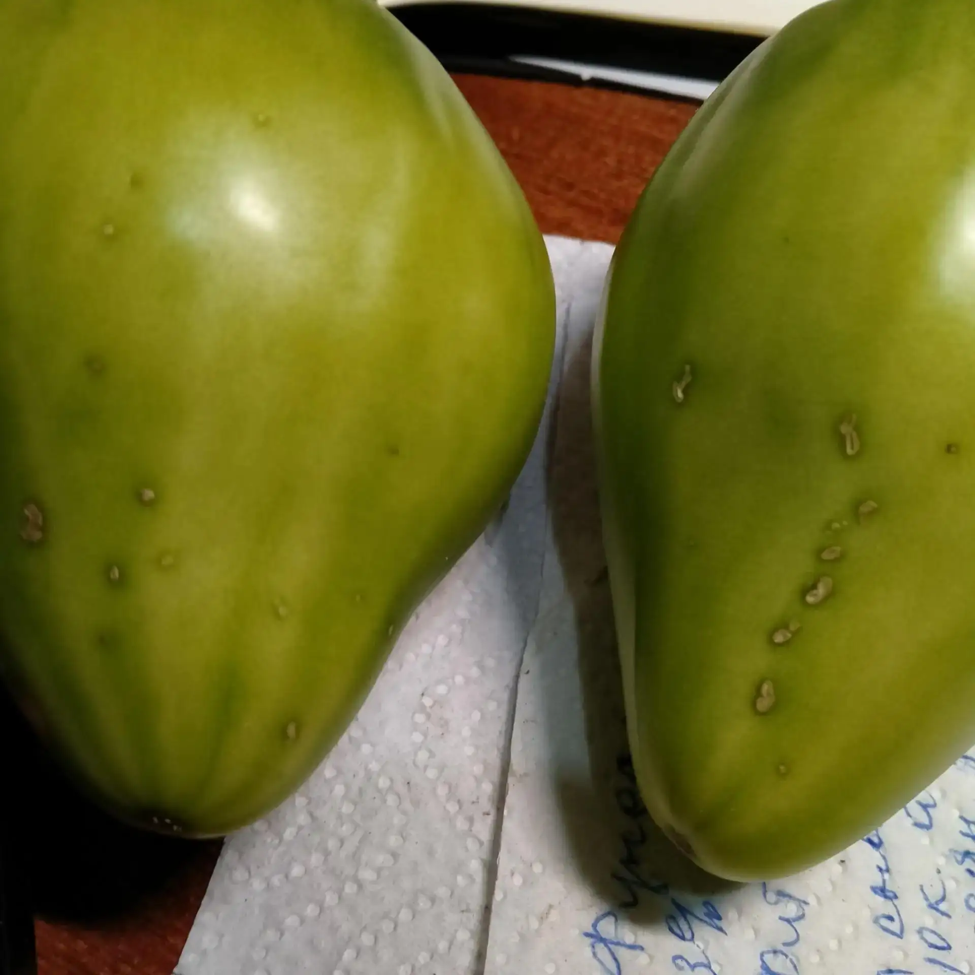 Подскажите пожалуйста, что это на томатах?

🏡Всё про дачу в Максе
🍎Чат про дачу в Максе
❓Предложит