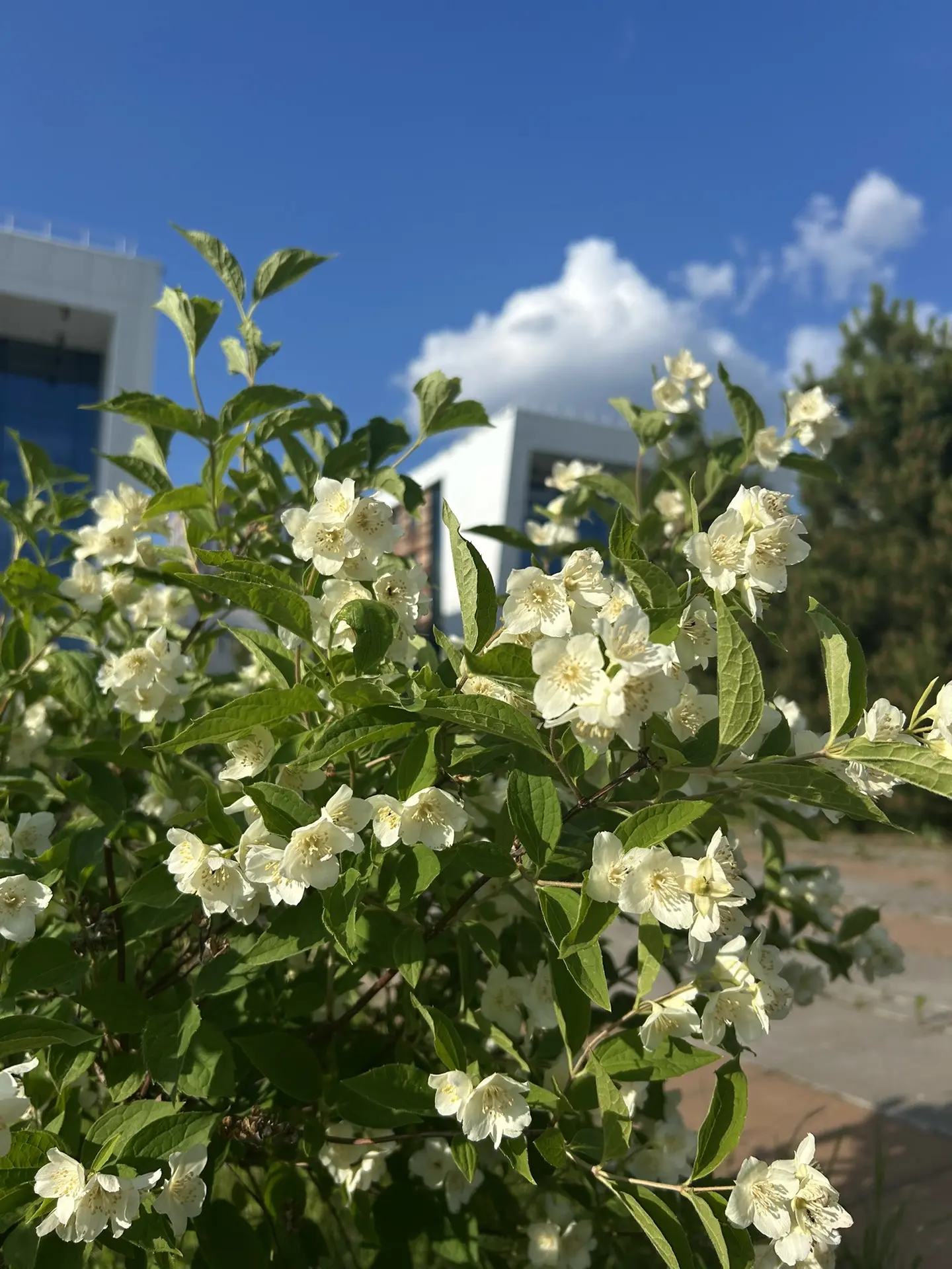 Доброе утро, верхнеуслонцы😍