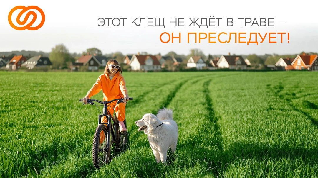 🪳 Он не ждёт в траве, он преследует! Что нужно знать о клеще-гиганте в 2026 году?

⚡️ На юге России