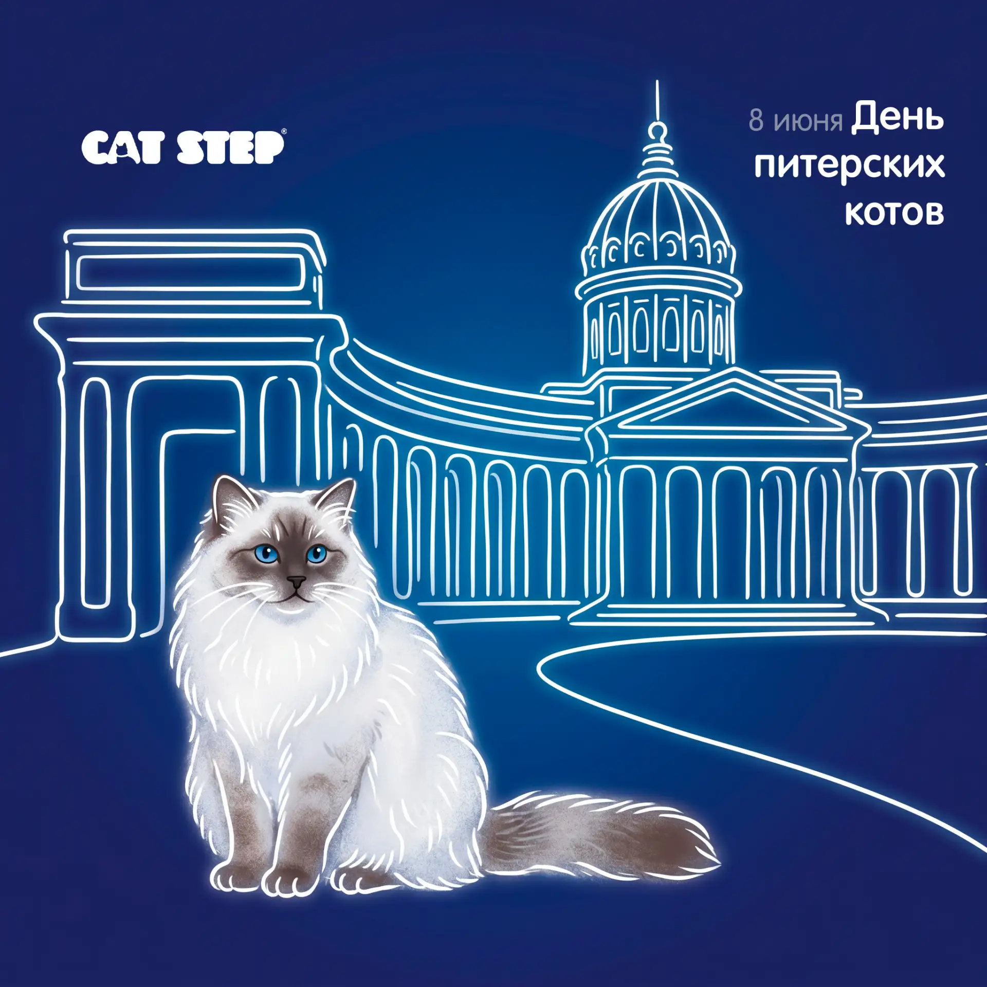 8 июня отмечают Всемирный день петербургских кошек!

Коты Петербурга — это отдельная каста. Они охра