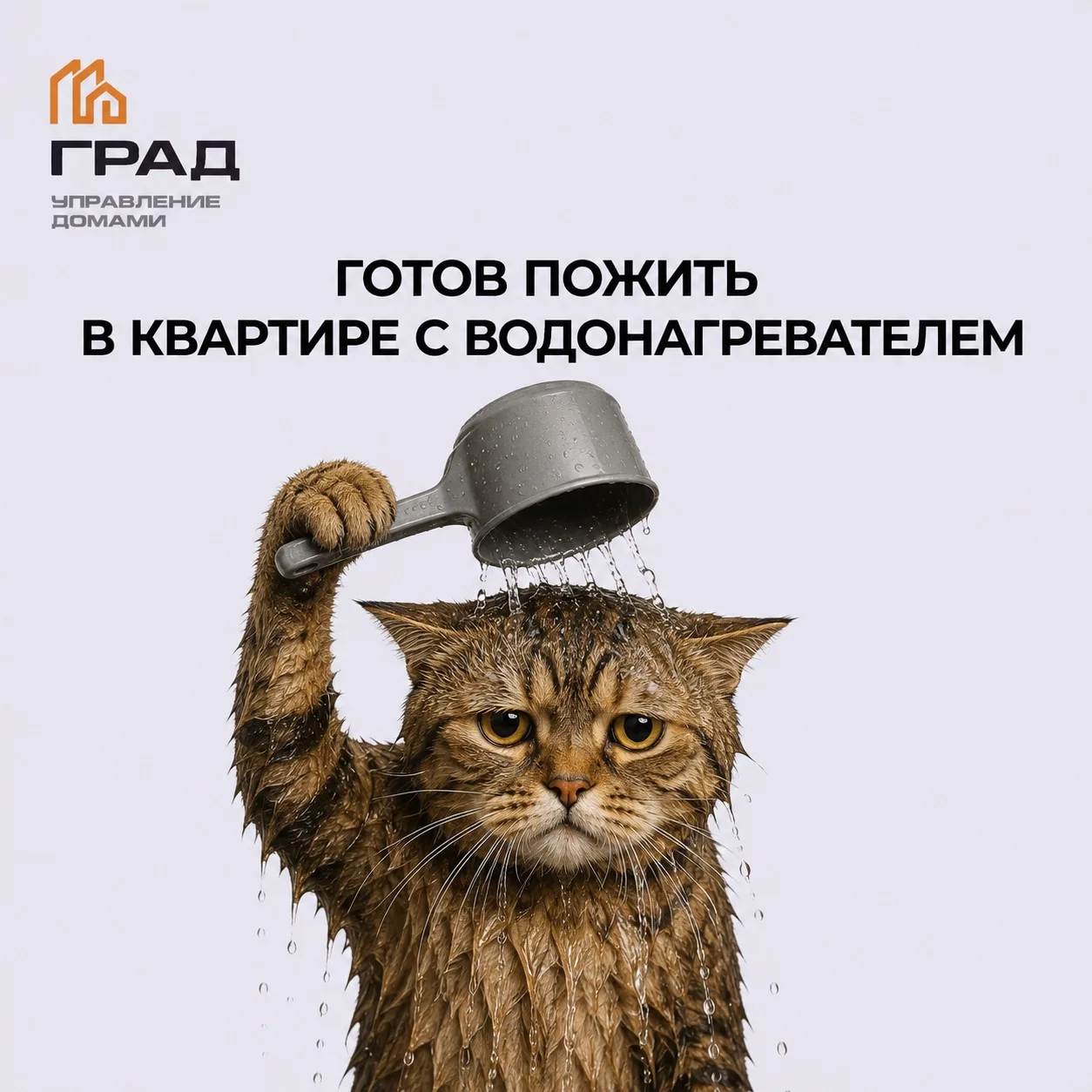 Важная информация для жителей 🚿

По данным администрации города, с 22 июня по 5 июля в Губкинском б