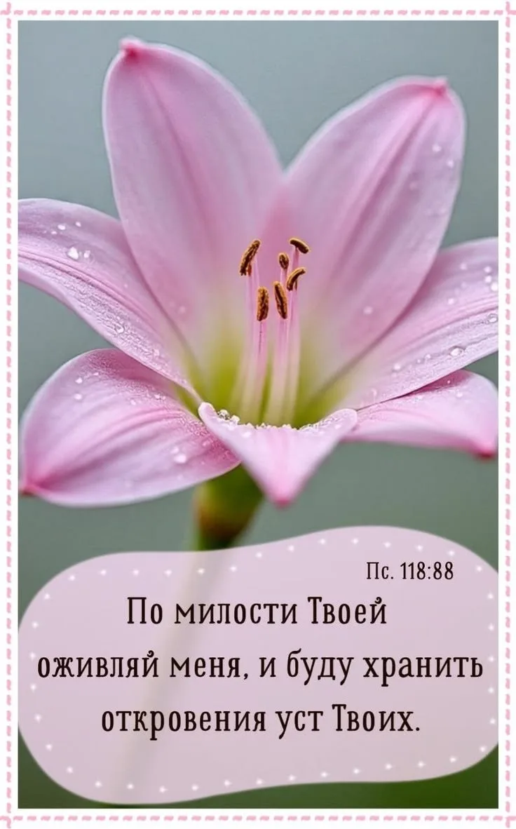 👉 Наши каналы. Подписаться.