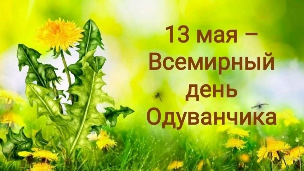 13 мая — Всемирный день одуванчика! 🌸

Знаете ли вы, что у самого жизнерадостного цветка есть свой 