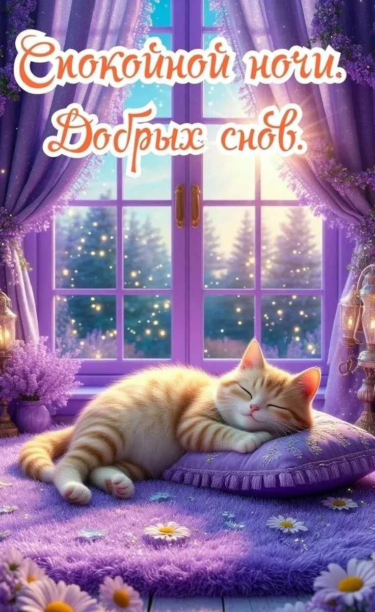 Добрых снов