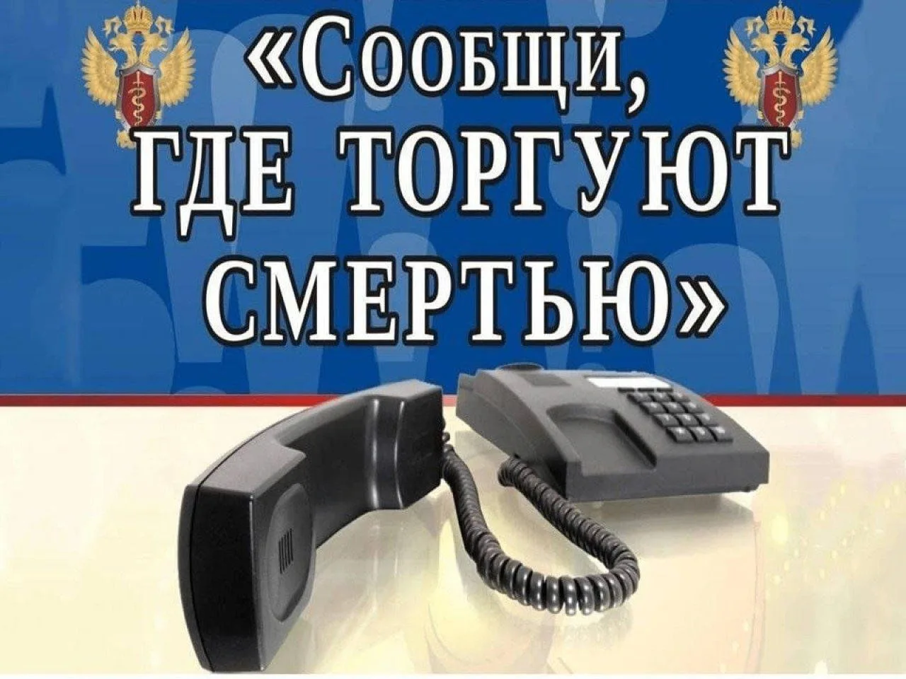 В период с 20 апреля по 1 мая 2026 года МВД России совместно с федеральными органами исполнительной 