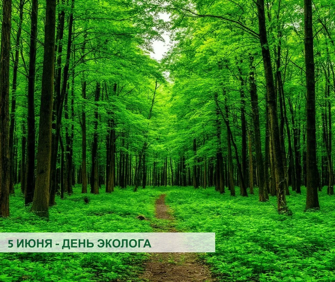 🌿 С Днём эколога!
Дорогие друзья, коллеги и все, кто неравнодушен к судьбе нашей планеты! Региональ