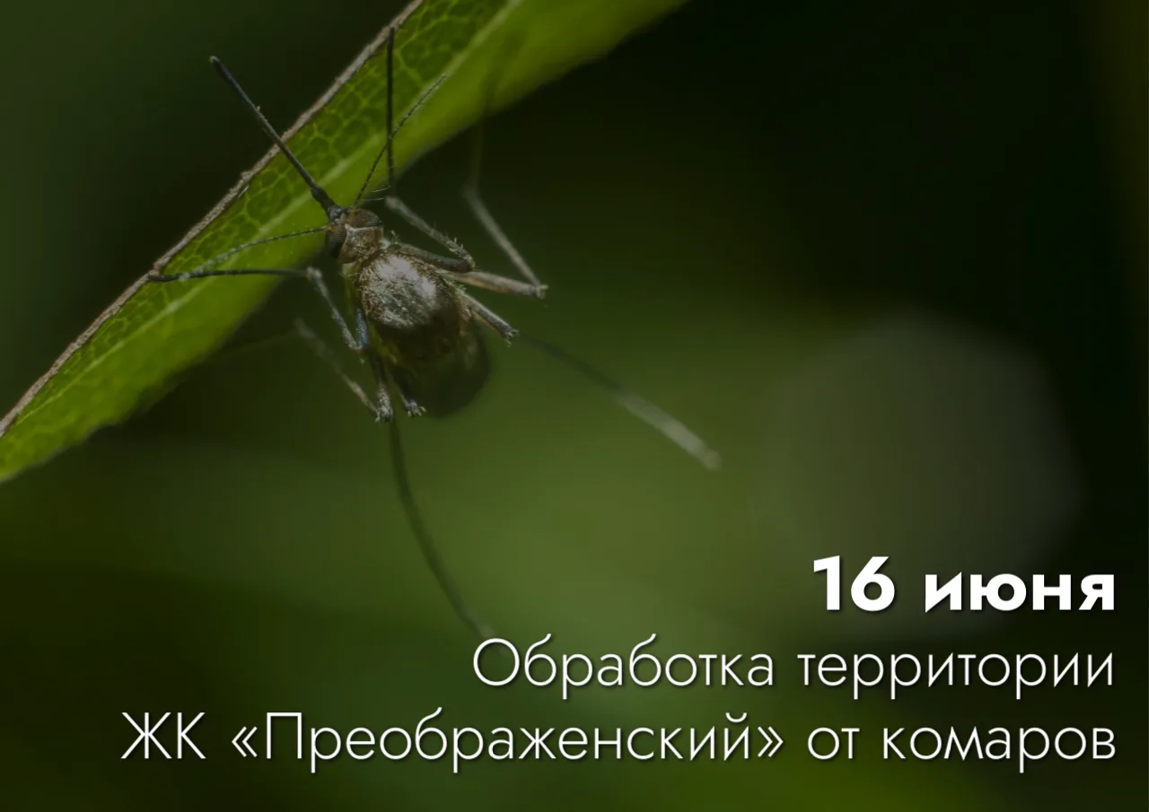 Внимание, жители Преображенского! 16 июня проводим обработку придомовой территории от комаров☝
 
Буд