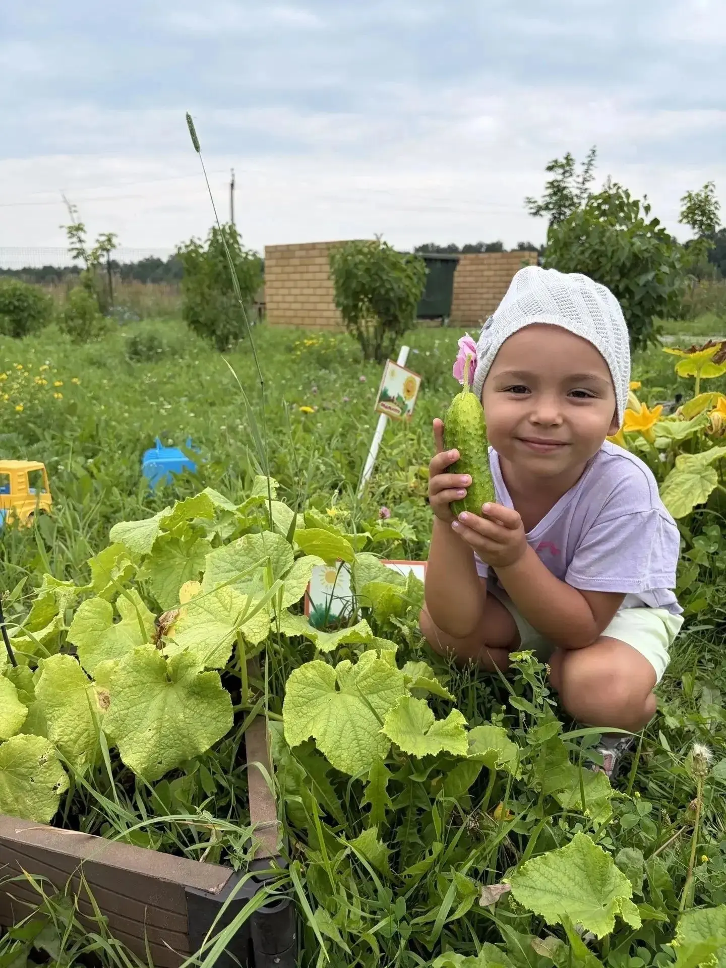 Дачники, как у вас в этом году с первым урожаем? 👩🏻‍🌾 

А у ребят из детского сада №99 уже есть ч