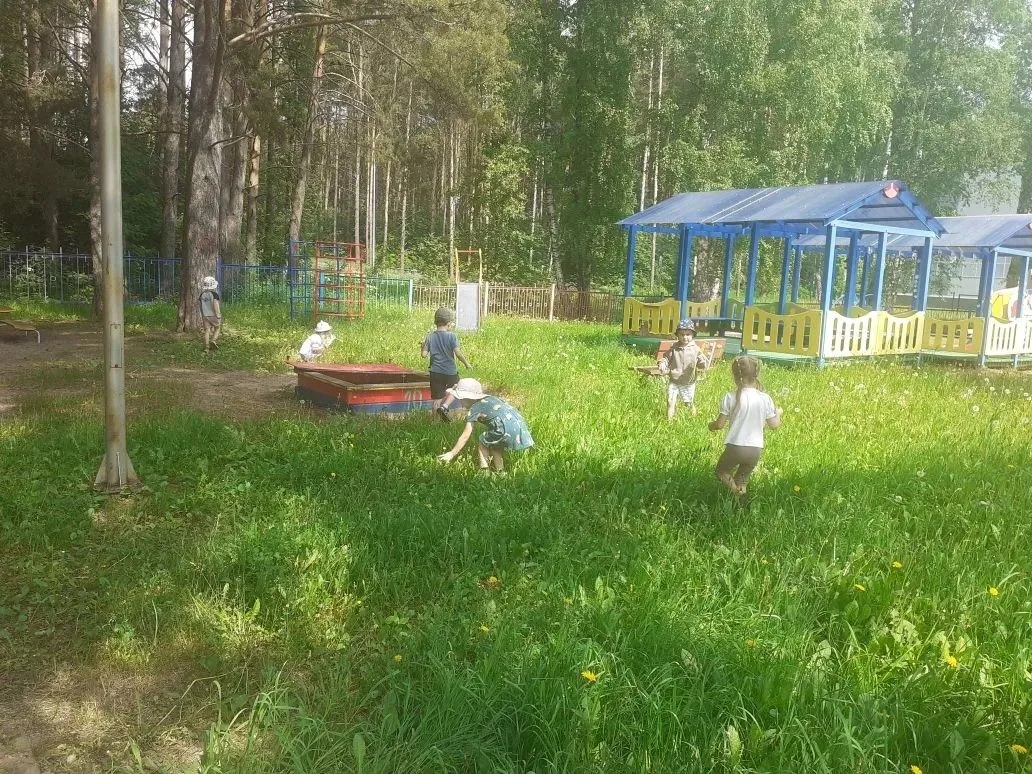 «Одуванчиковые секреты: наблюдаем и экспериментируем!»
Ребята из группы «Ромашка» на прогулке стали 