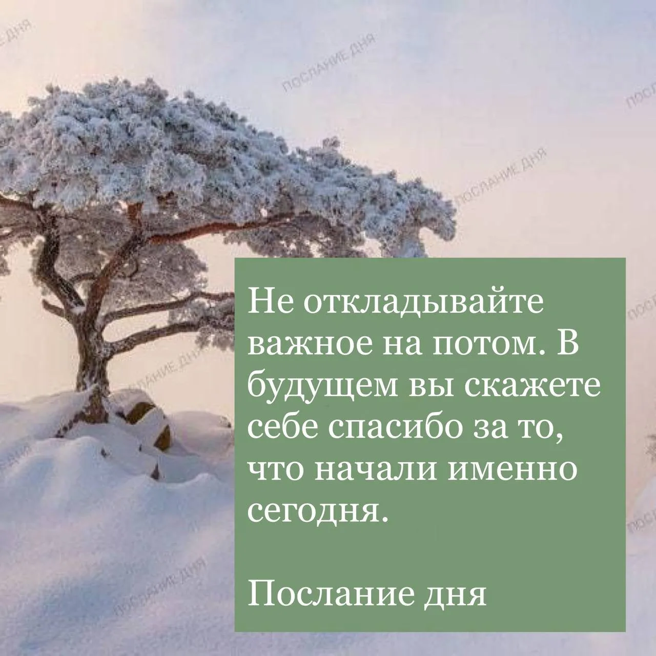 Послание дня