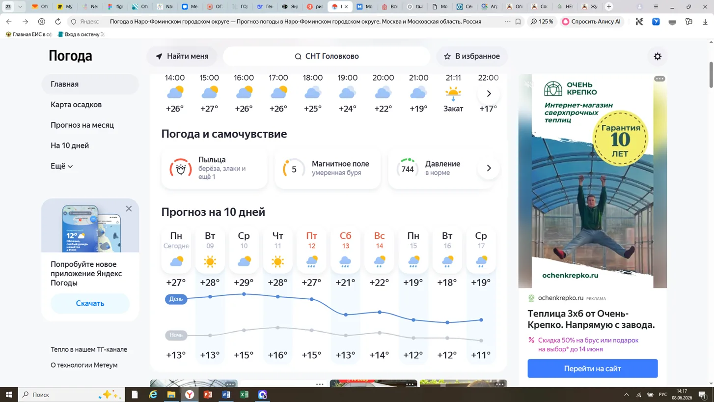 8 июня - Проверка влажности почвы и состояния клубней. Всходов картофеля нет, сорняки начали появлят