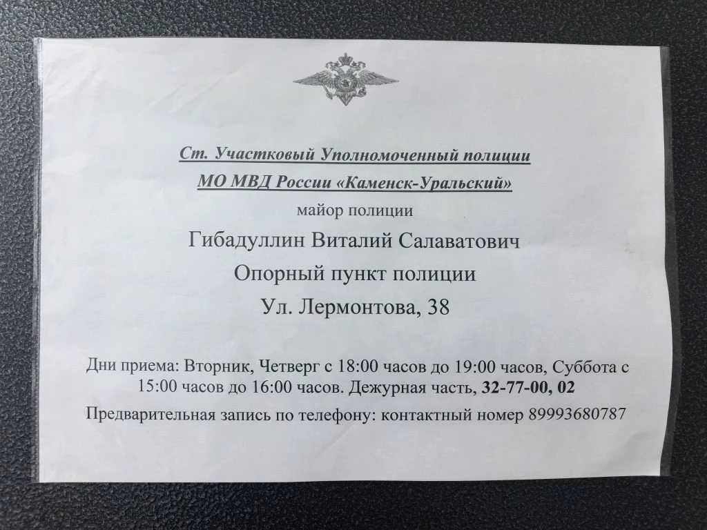 Про общественный порядок

     Когда я только начал заниматься депутатской работой, я заинтересовалс