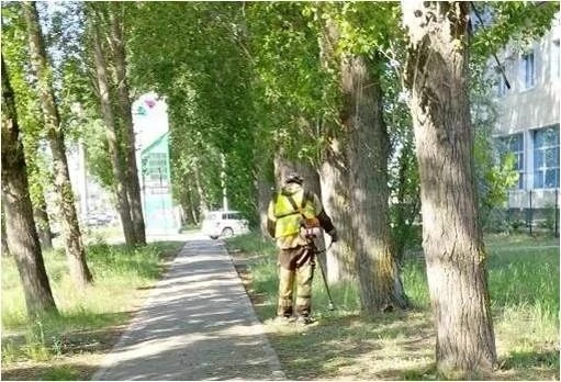 По поручению главы города Ульяновска Болдакина Александра летом санитарные дни будут проходить ежене