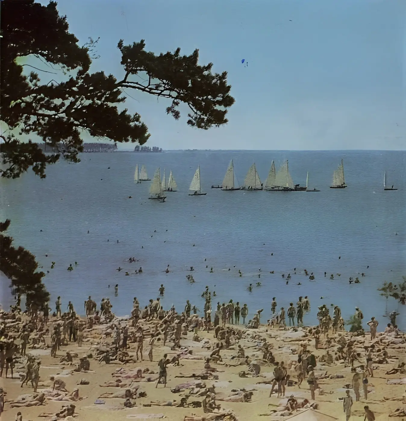 📸 Архивные фотографии c Обского моря - 1970 - 1980г

АФИША НОВОСИБИРСК