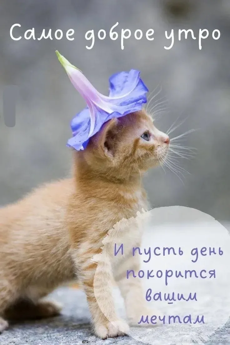 ЖИВАЯ СКАЗКА 
НАШ КАНАЛ В МАКСЕ