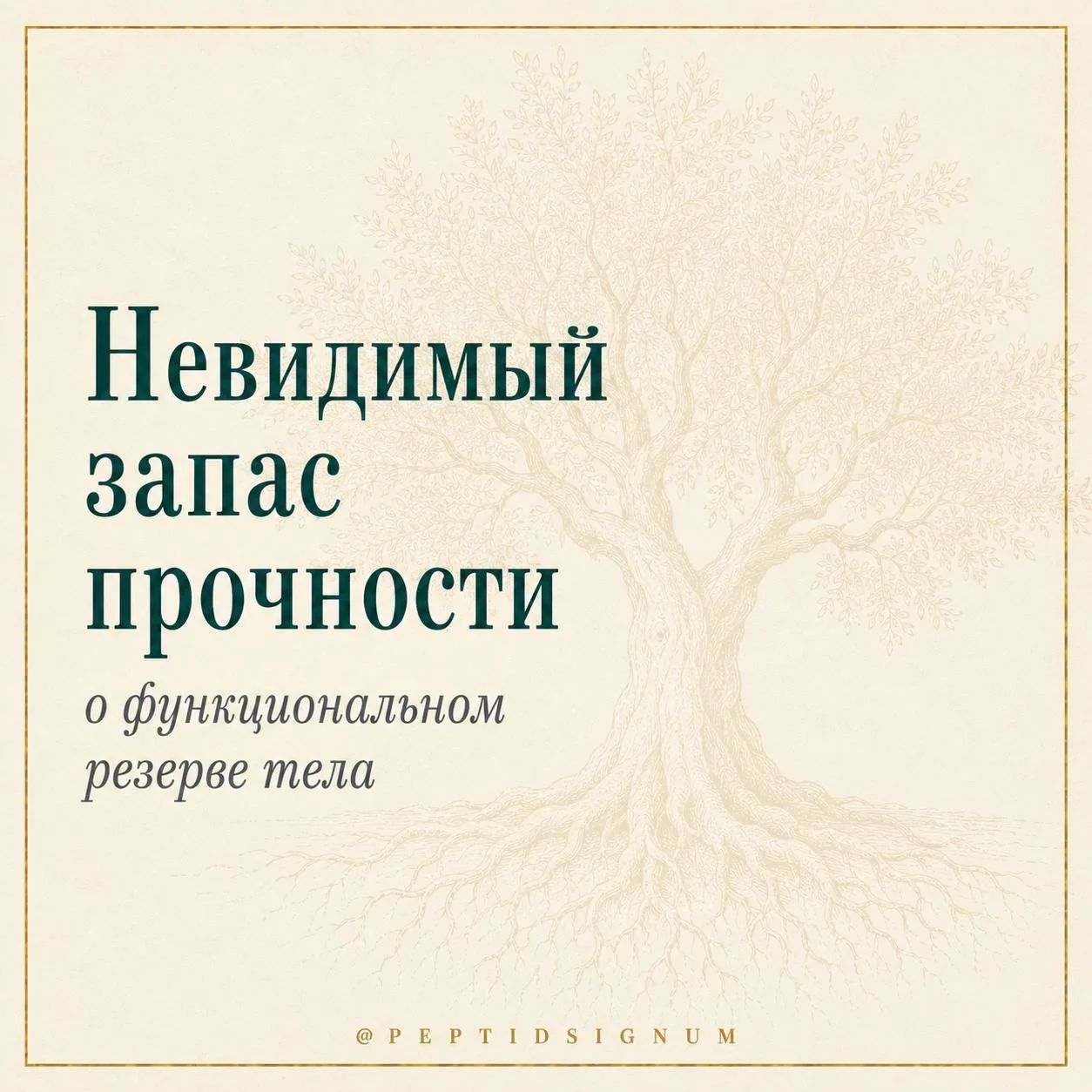 Что мы на самом деле теряем с возрастом — и почему дело не в одном органе ⚙️

После пятидесяти многи