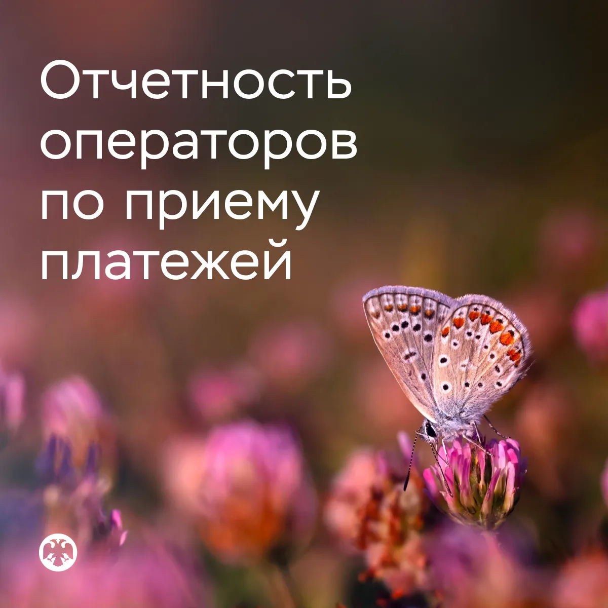 Большинство платежей через платежных агентов приходится на оплату ЖКУ
Итоги первого квартала

В янва