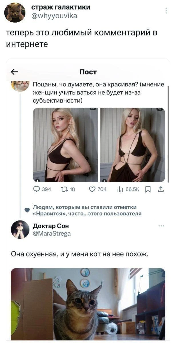 Кино Абсурдус
