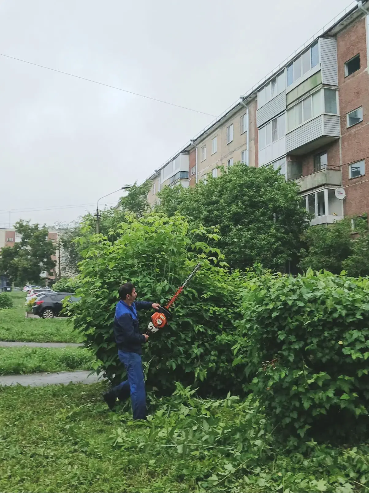 Обрезка кустарников в 5 микрорайоне ☘️🌳🌿