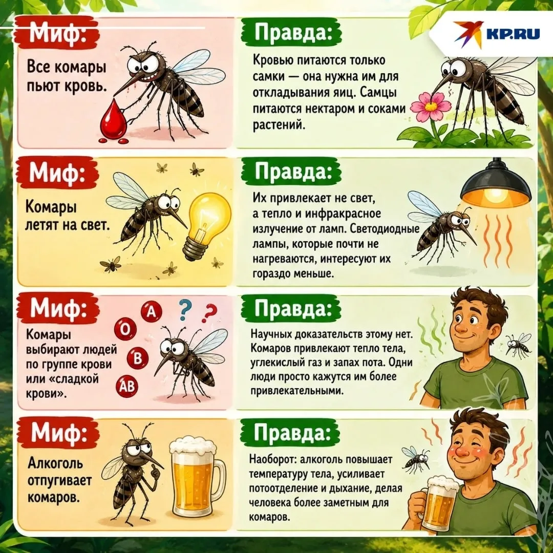 Мифы о комарах