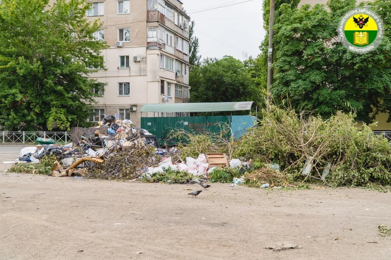 Сотрудники МКУ «Благоустройство» продолжают работы по ликвидации несанкционированных свалок

В город