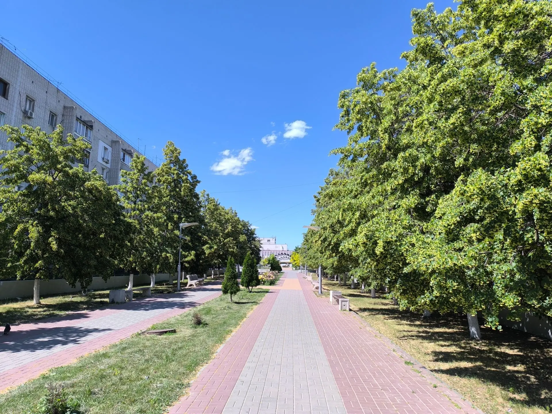 🌥️ Погода в Волгограде 20 июня 

🌡️ По прогнозам синоптиков, днем температура воздуха составит око