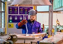 Ученые Института цветных металлов Сибирского федерального университета (СФУ) совместно с зарубежными