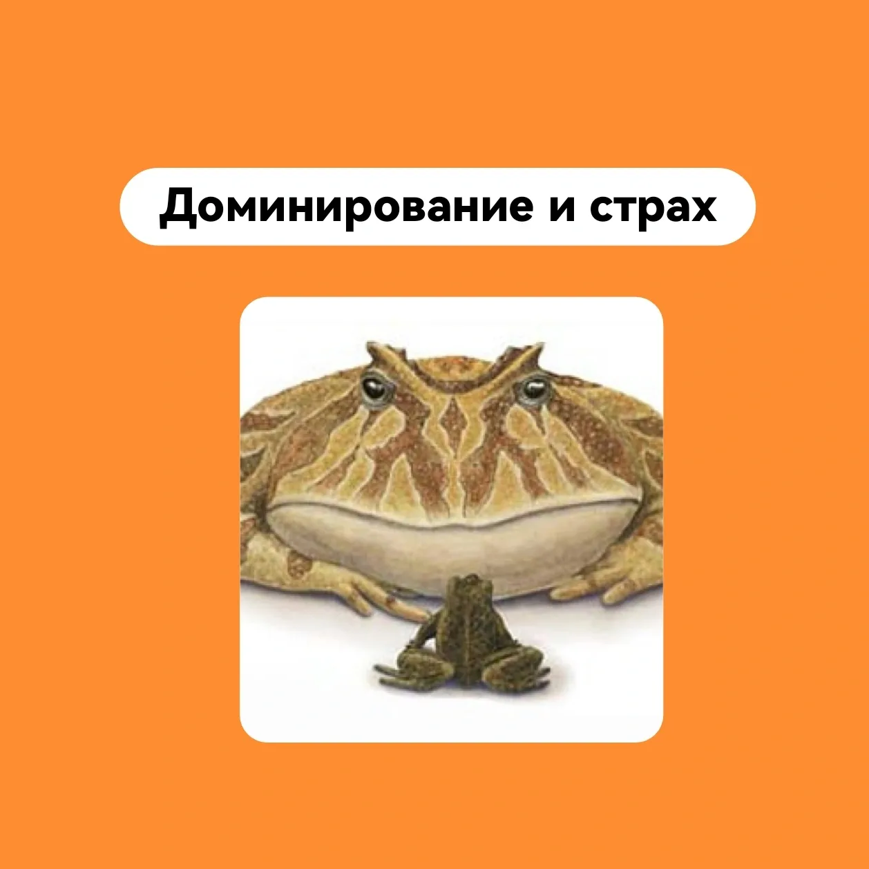 Доминирование  и страх

Вроде бы мы уже давно человеки, а не животные, а всё живём в страхе...

А из