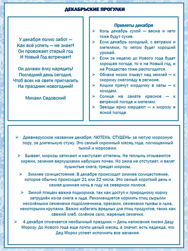 Авторский материал - идеи для прогулок в Декабре