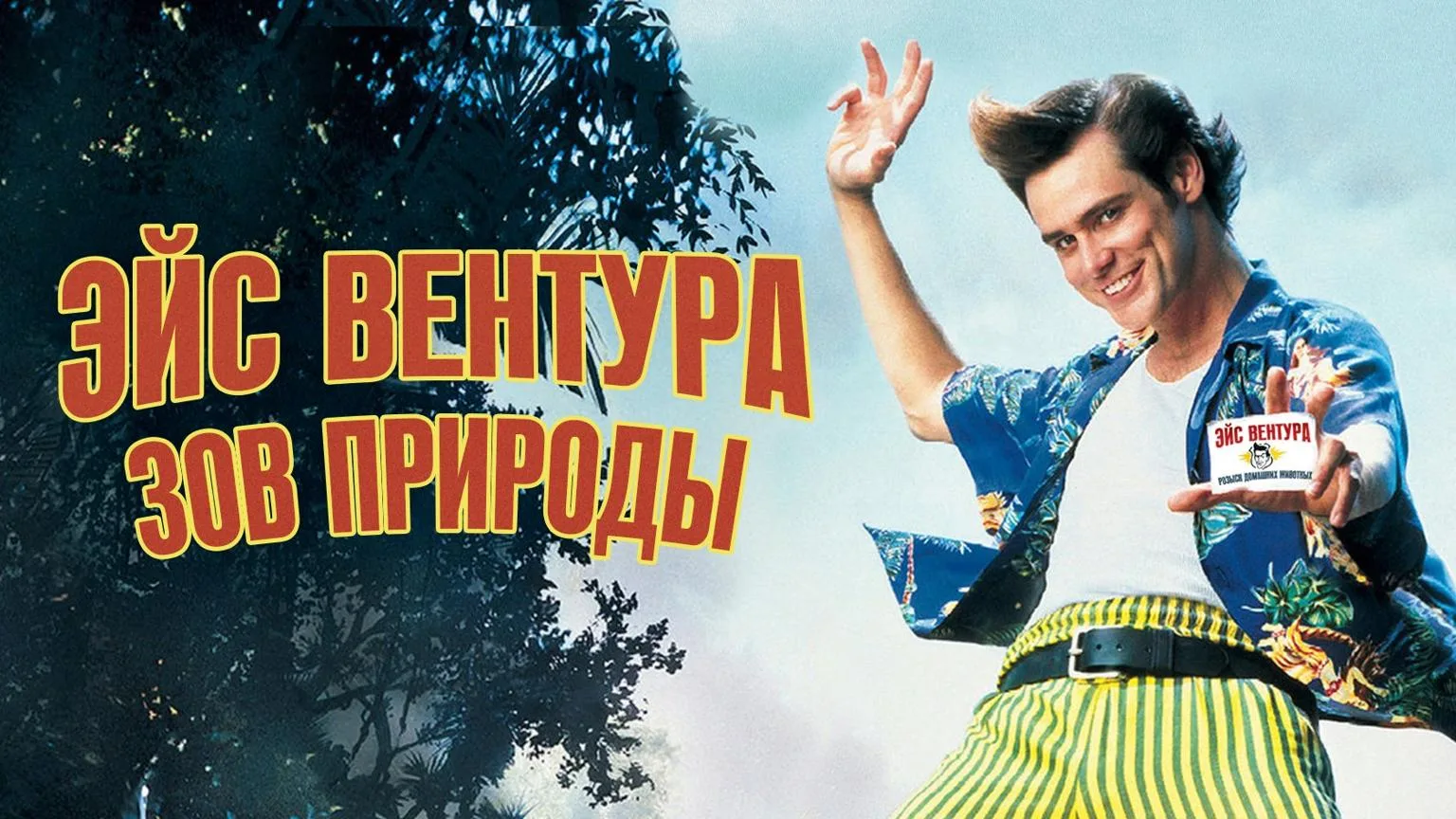 Эйс Вентура 2: Когда зовет природа / Боевик, Приключения, Комедия / США / 1995
👇
В роли неповторимо