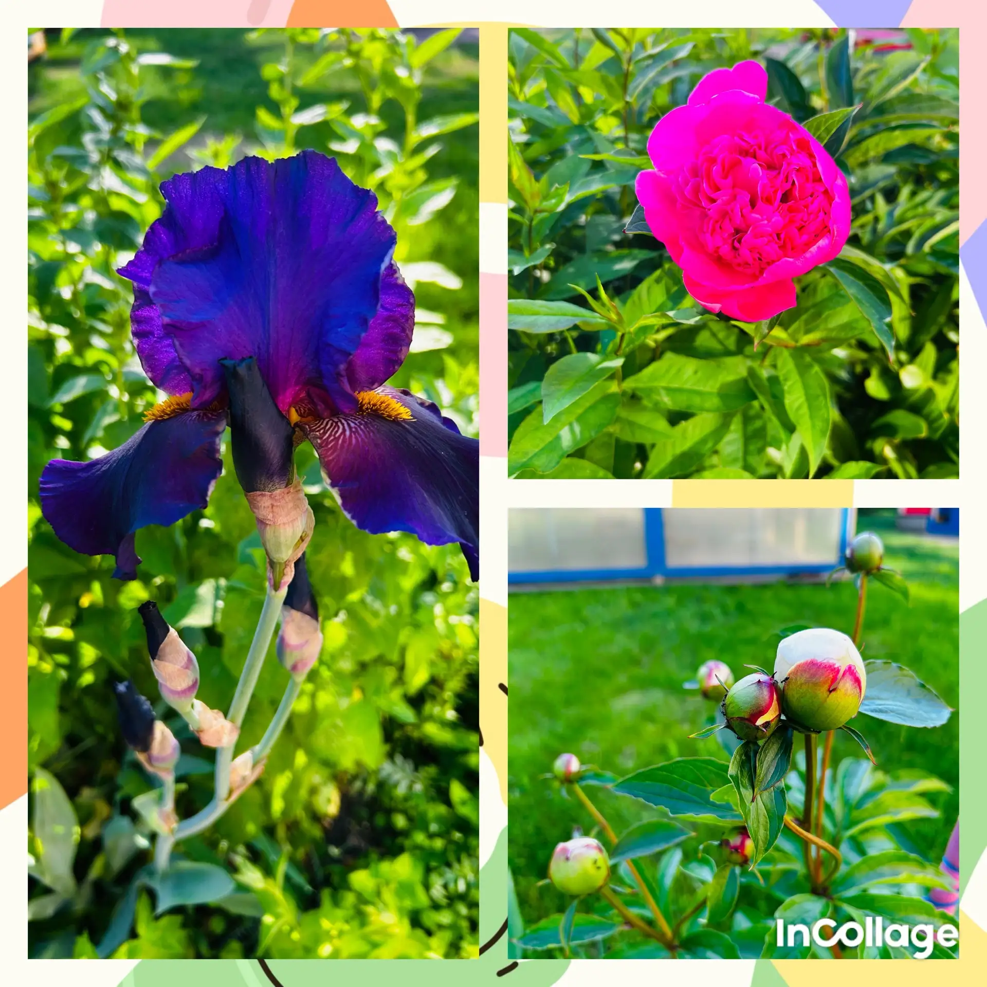 🌿 Природа — лучший учитель, а наши педагоги — её проводники! 🌿
💥В суете дней мы порой забываем ос