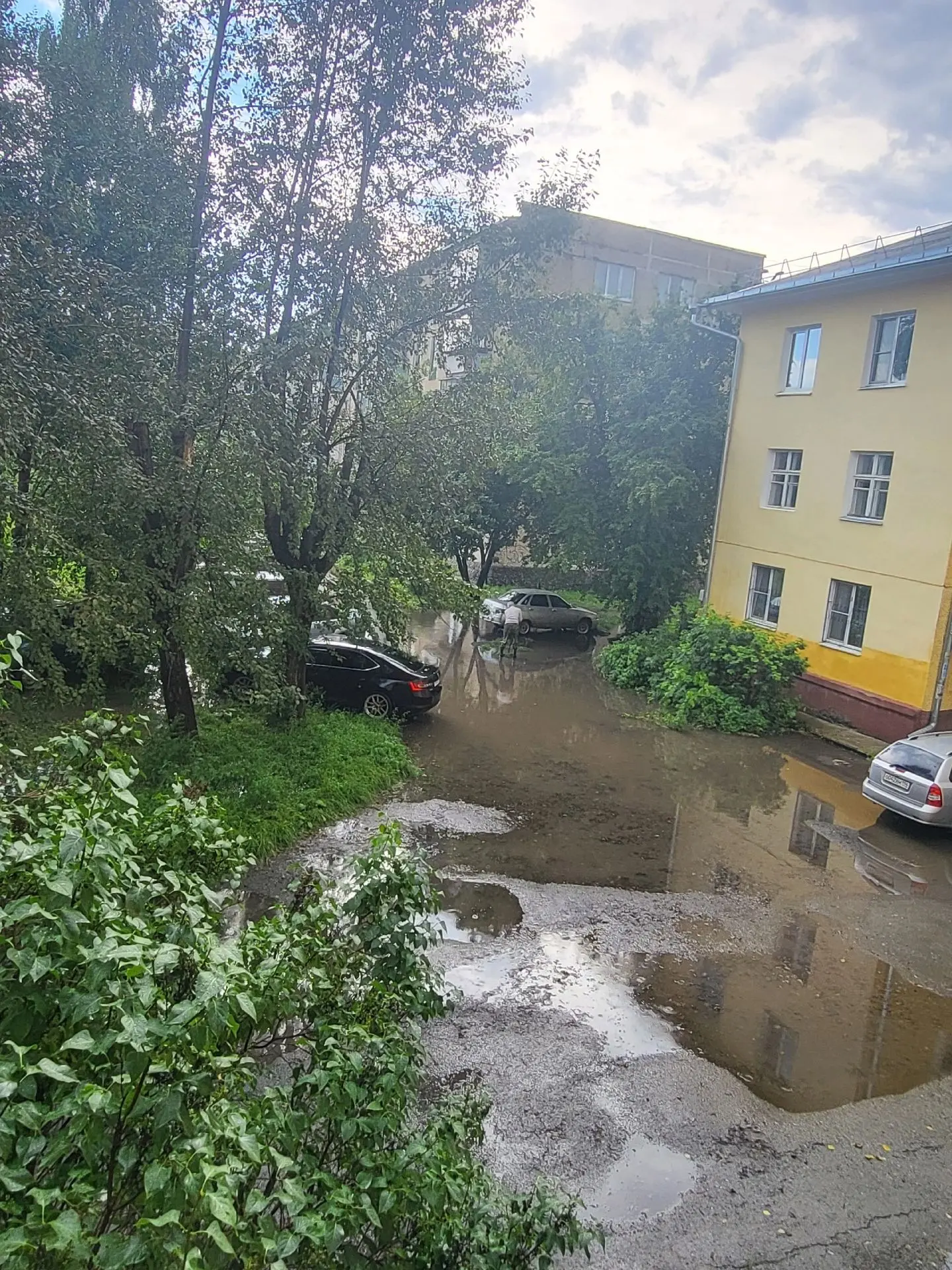 Заплывы по Полевскому устроим?
